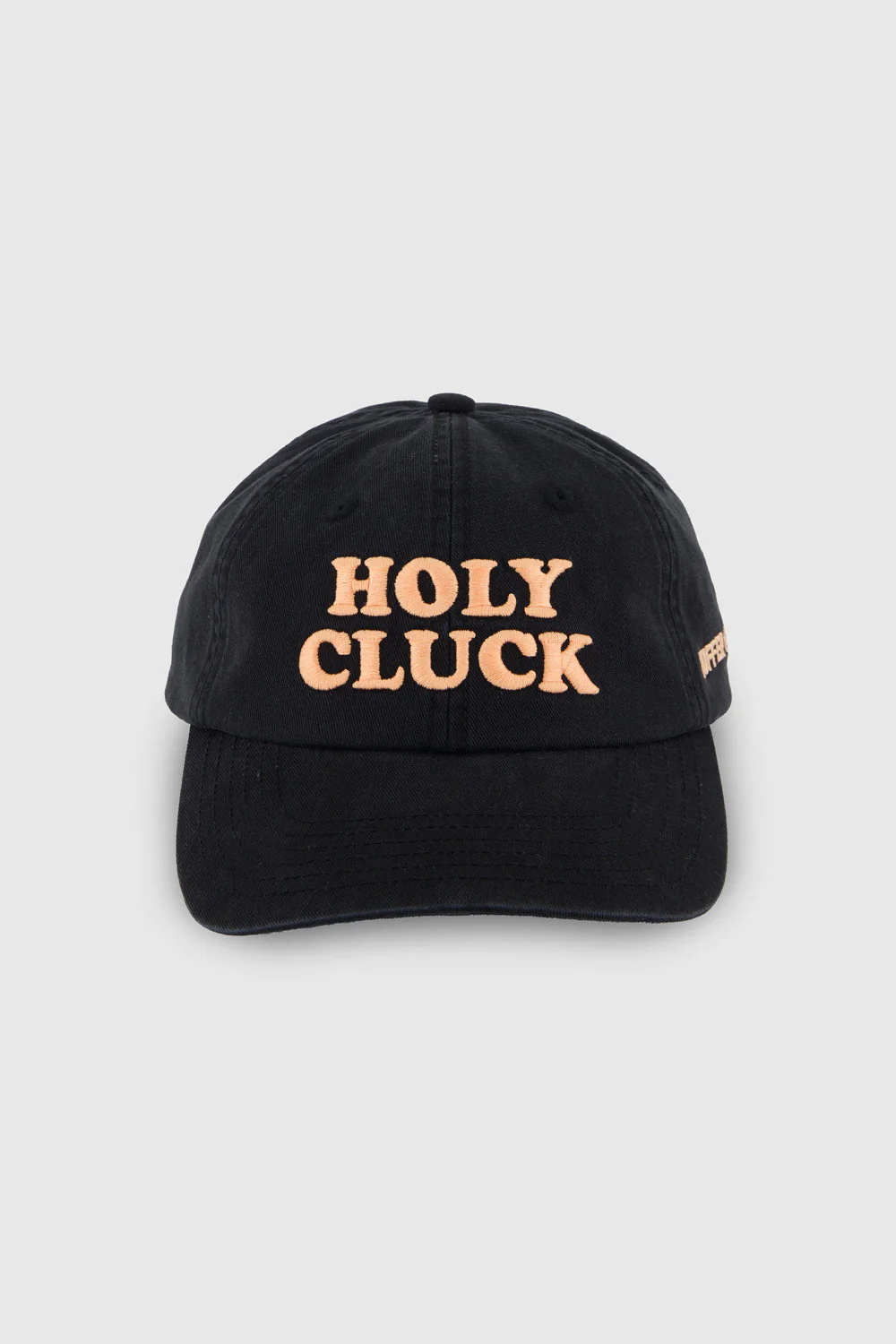 6 PANEL CAP/HOLY CLUCK BASALT - Image 3